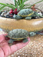 Load image into Gallery viewer, Felt Turtle-Turtle Gift-Lifelike River Cooter Turtle – Handmade Gift for Turtle Lovers
