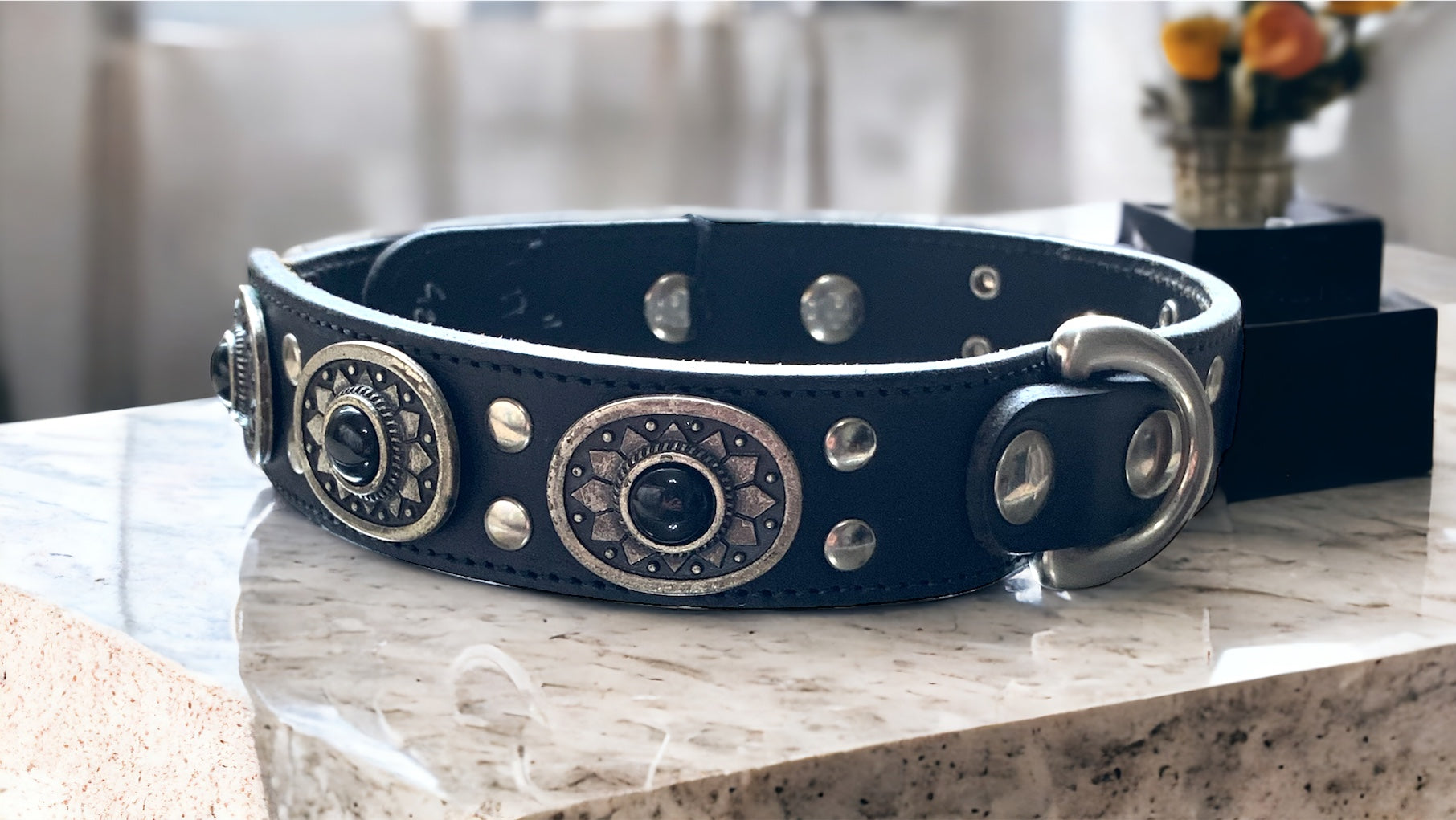 20” Black Leather Dog Collar With Silver Conchos