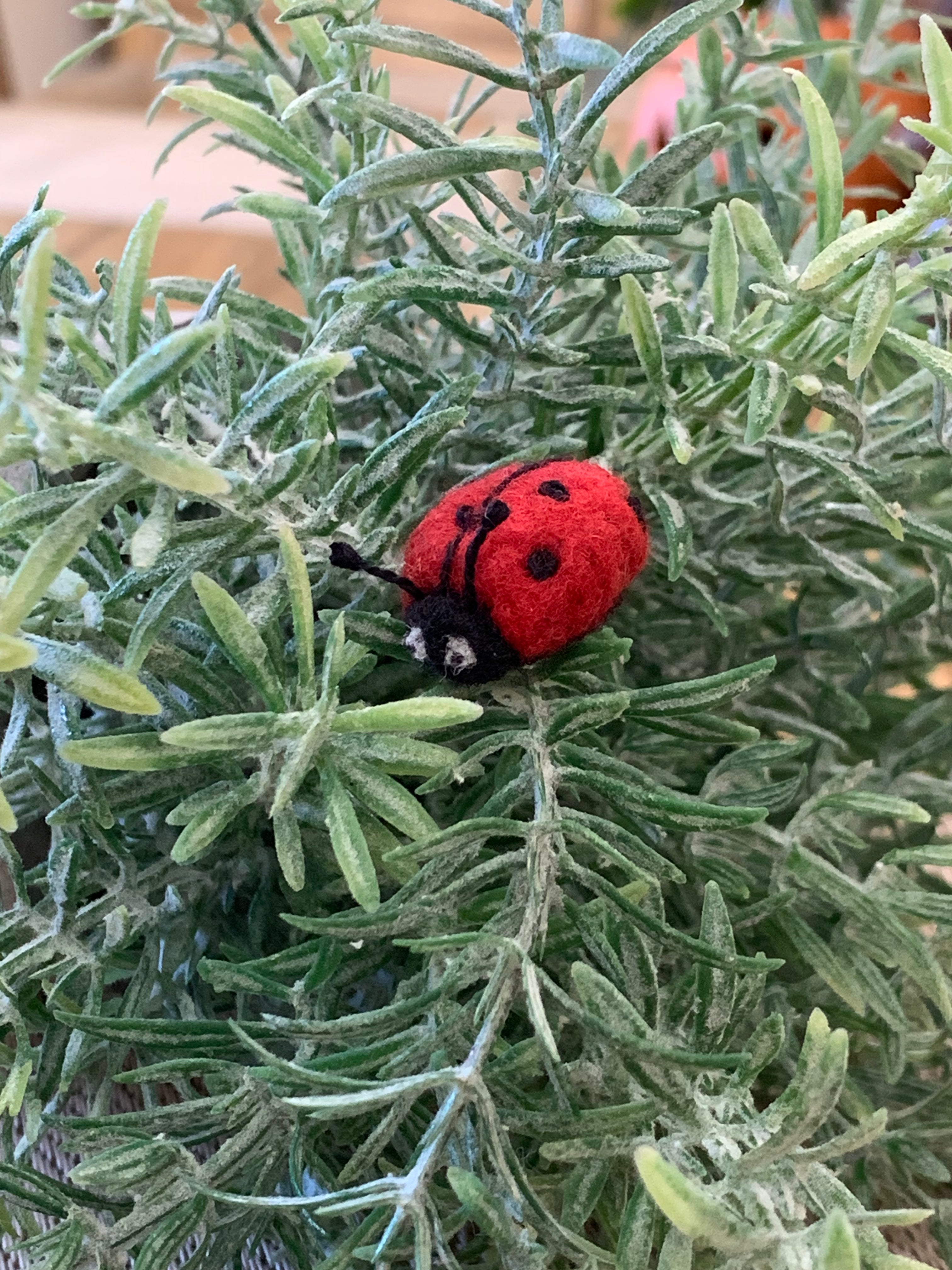 Golden Heart Haven- English Cream Golden Retriever Ornament