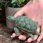 Load image into Gallery viewer, Lifelike River Cooter Turtle made from Felt
