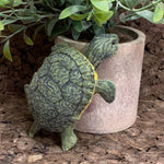 Load image into Gallery viewer, Lifelike River Cooter Turtle made from Felt
