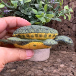 Load image into Gallery viewer, Lifelike River Cooter Turtle made from Felt
