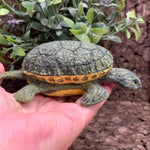 Load image into Gallery viewer, Lifelike River Cooter Turtle made from Felt
