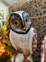 Load image into Gallery viewer, Vintage Italian Owl Figurines – Hand Painted Ceramic Pottery Pair – Marked Italy – 8 Inch Tall Owls
