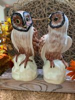 Load image into Gallery viewer, Vintage Italian Owl Figurines – Hand Painted Ceramic Pottery Pair – Marked Italy – 8 Inch Tall Owls
