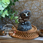 Load image into Gallery viewer, Mini Cold Bronze Owl Figurine – Charles Earnhardt – Saw-Whet Owl Wildlife Art
