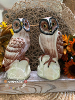 Load image into Gallery viewer, Vintage Italian Owl Figurines – Hand Painted Ceramic Pottery Pair – Marked Italy – 8 Inch Tall Owls
