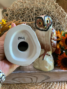 Vintage Italian Owl Figurines – Hand Painted Ceramic Pottery Pair – Marked Italy – 8 Inch Tall Owls