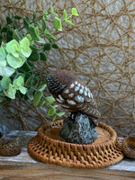 Load image into Gallery viewer, Mini Cold Bronze Owl Figurine – Charles Earnhardt – Saw-Whet Owl Wildlife Art
