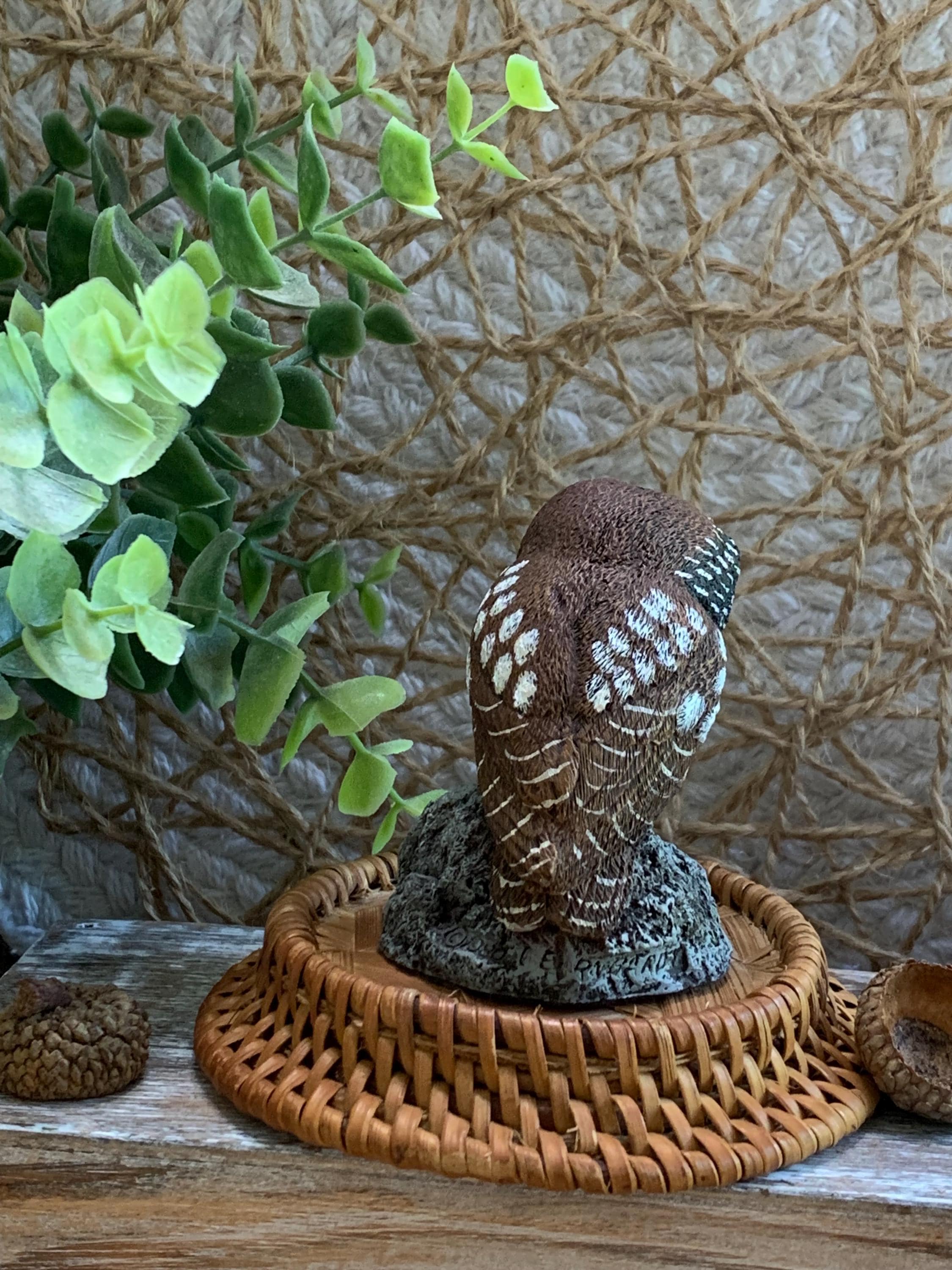 Mini Cold Bronze Owl Figurine – Charles Earnhardt – Saw-Whet Owl Wildlife Art