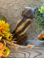 Load image into Gallery viewer, Tall Ceramic Owl Figurine – Rustic Woodland Style – 6.5” Owl Statue

