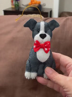 Load and play video in Gallery viewer, Blue Nosed Pitbull Felt Ornament with white patches and white paws
