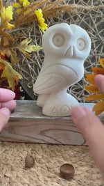 Load and play video in Gallery viewer, Greek Owl Sculpture – Heavy Cast Stone Figurine – Athena Symbol with ΑΘΕ – Wisdom Decor – 5 Inch
