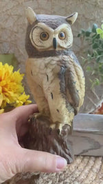 Load and play video in Gallery viewer, Tall Ceramic Owl Figurine – Rustic Woodland Style – 6.5” Owl Statue
