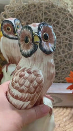 Load and play video in Gallery viewer, Vintage Italian Owl Figurines – Hand Painted Ceramic Pottery Pair – Marked Italy – 8 Inch Tall Owls
